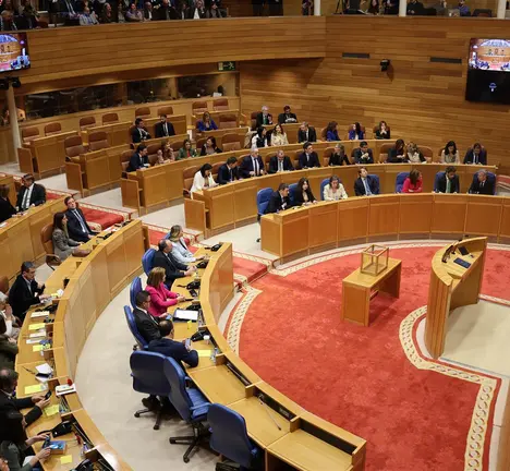 enmendas-parlamento